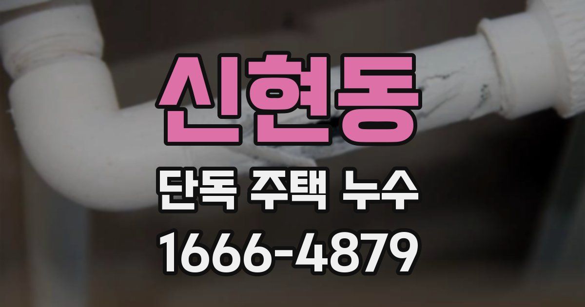 신현동 단독 주택 누수