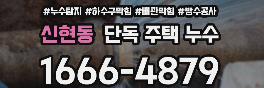 신현동 단독 주택 누수