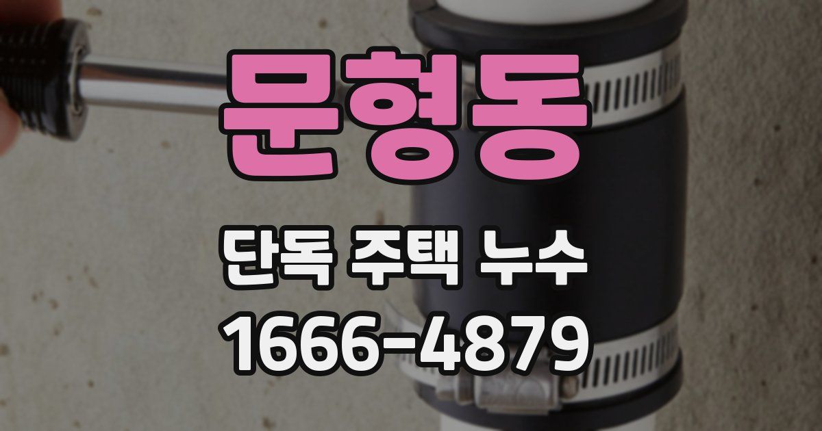 문형동 단독 주택 누수