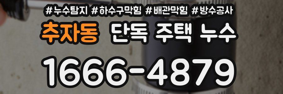 추자동 단독 주택 누수