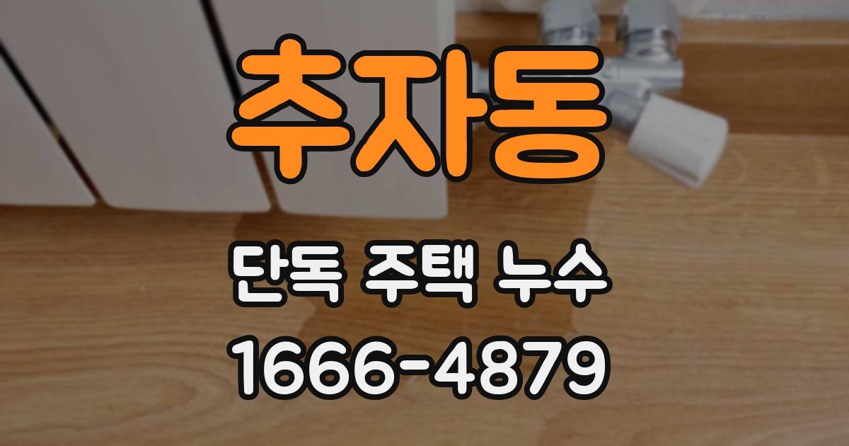 추자동 단독 주택 누수
