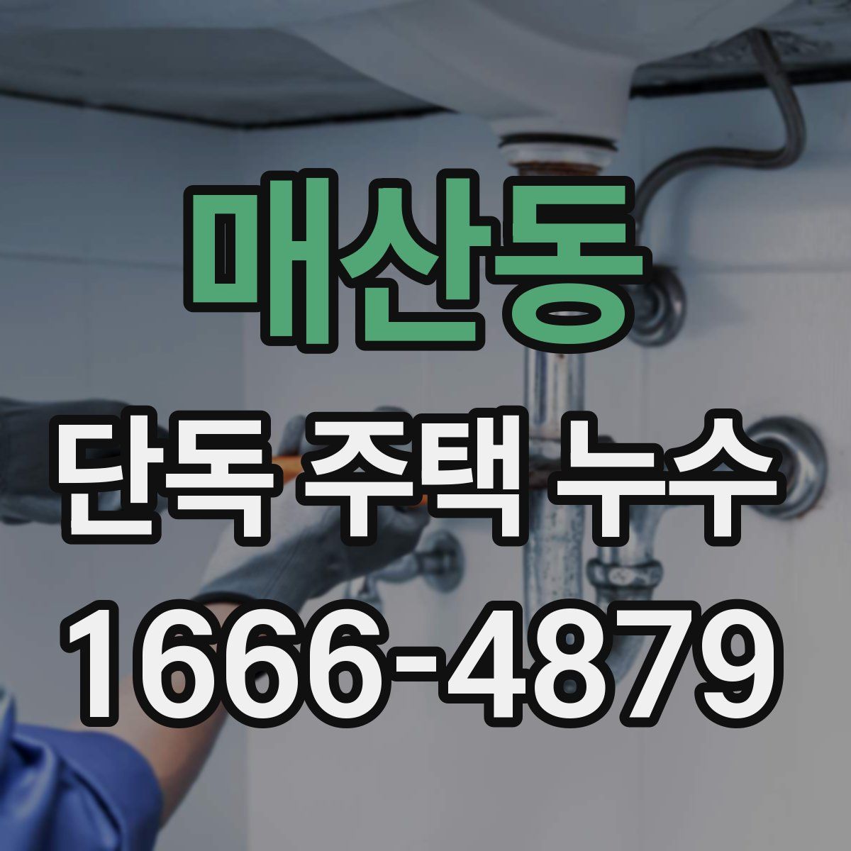 매산동 단독 주택 누수