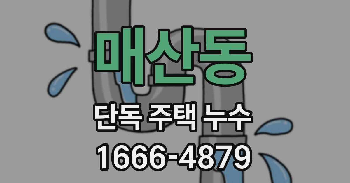 매산동 단독 주택 누수
