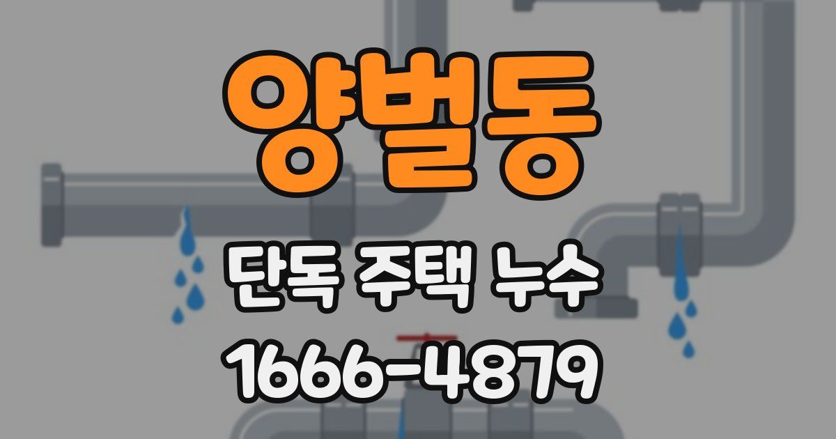 양벌동 단독 주택 누수