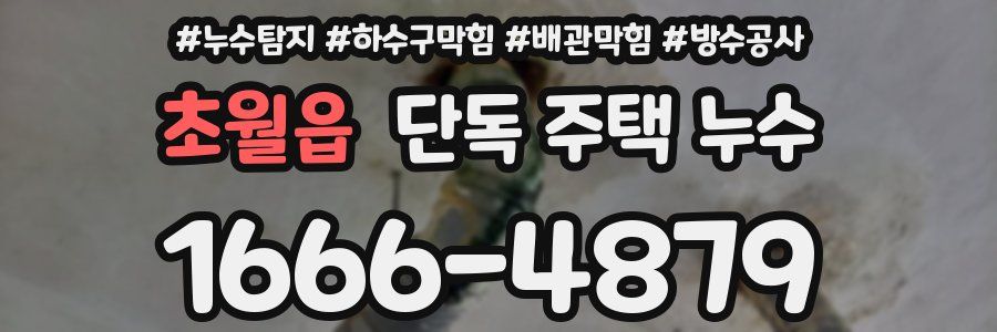 초월읍 단독 주택 누수