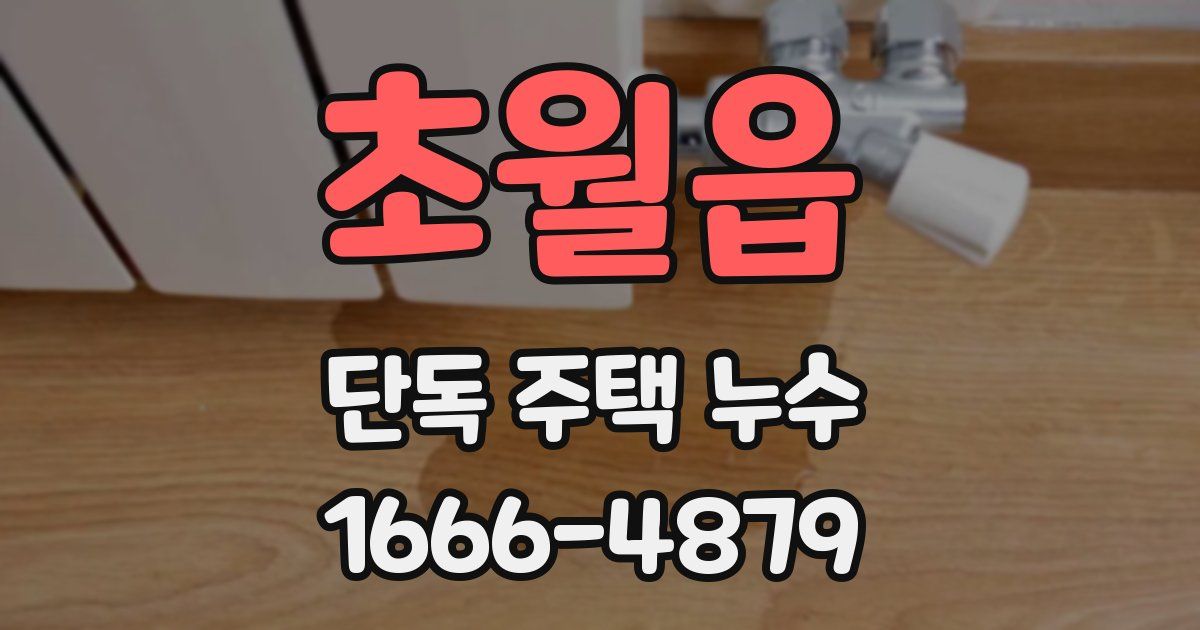초월읍 단독 주택 누수