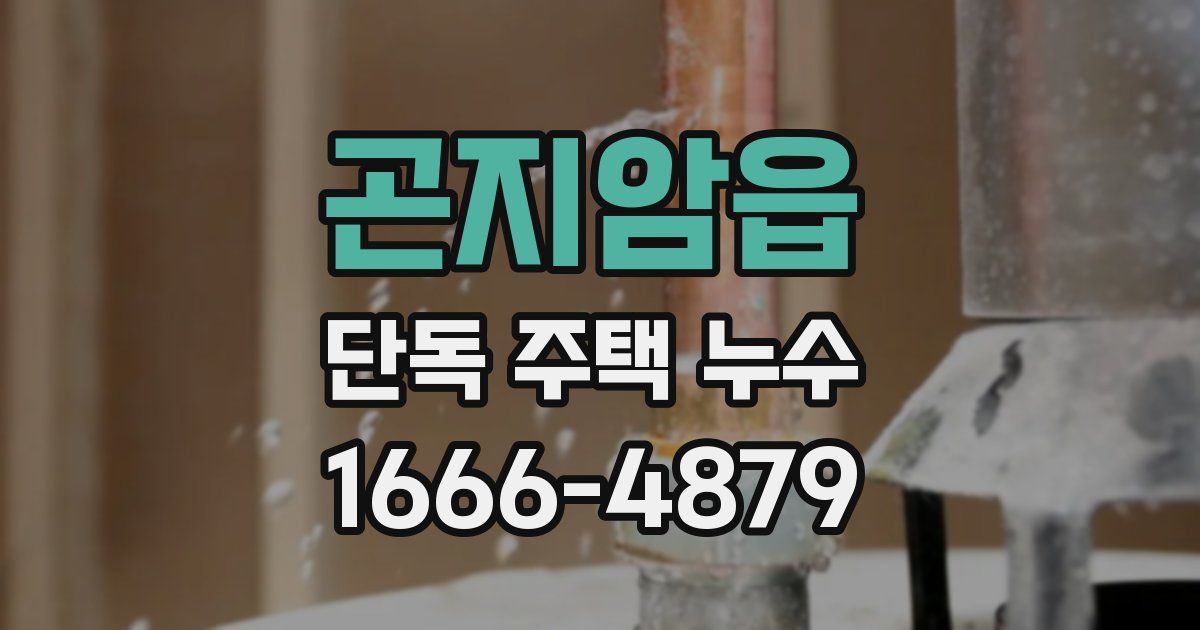 곤지암읍 단독 주택 누수