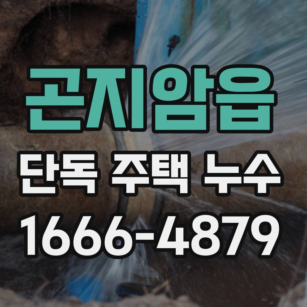 곤지암읍 단독 주택 누수