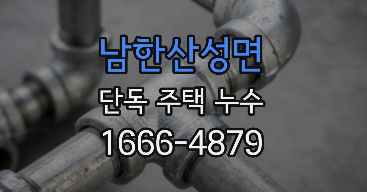 남한산성면 단독 주택 누수