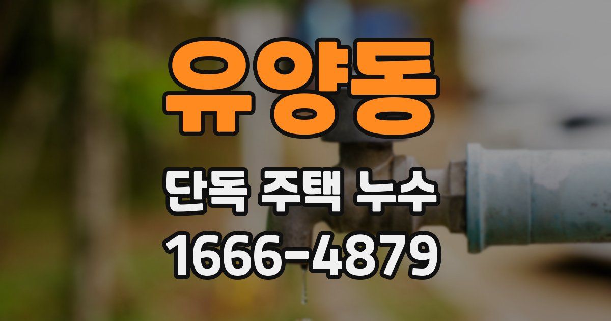 유양동 단독 주택 누수