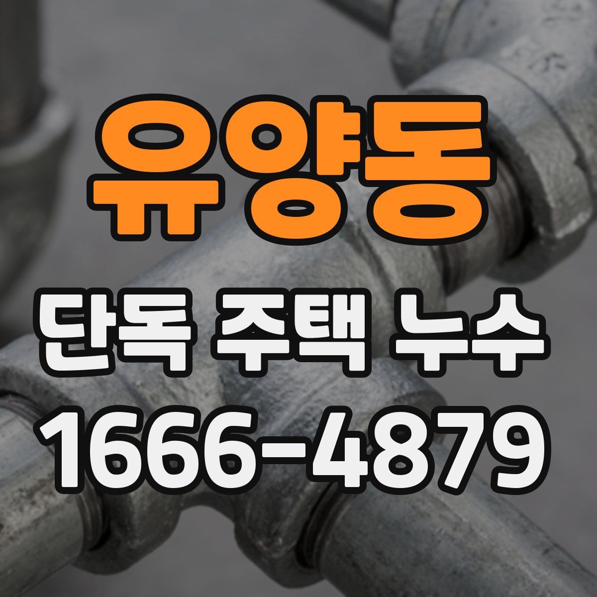 유양동 단독 주택 누수