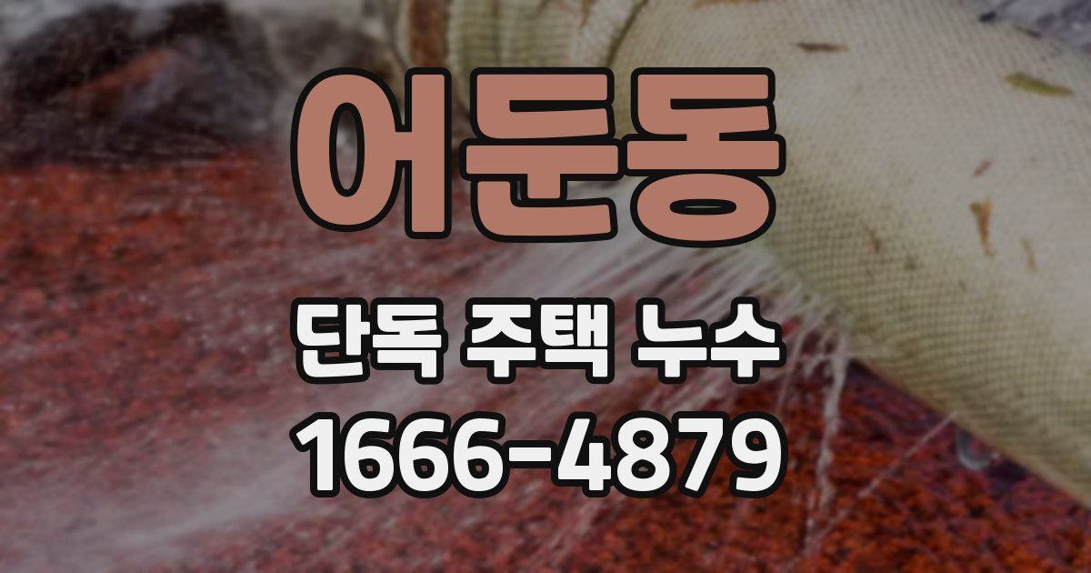 어둔동 단독 주택 누수