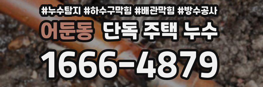 어둔동 단독 주택 누수
