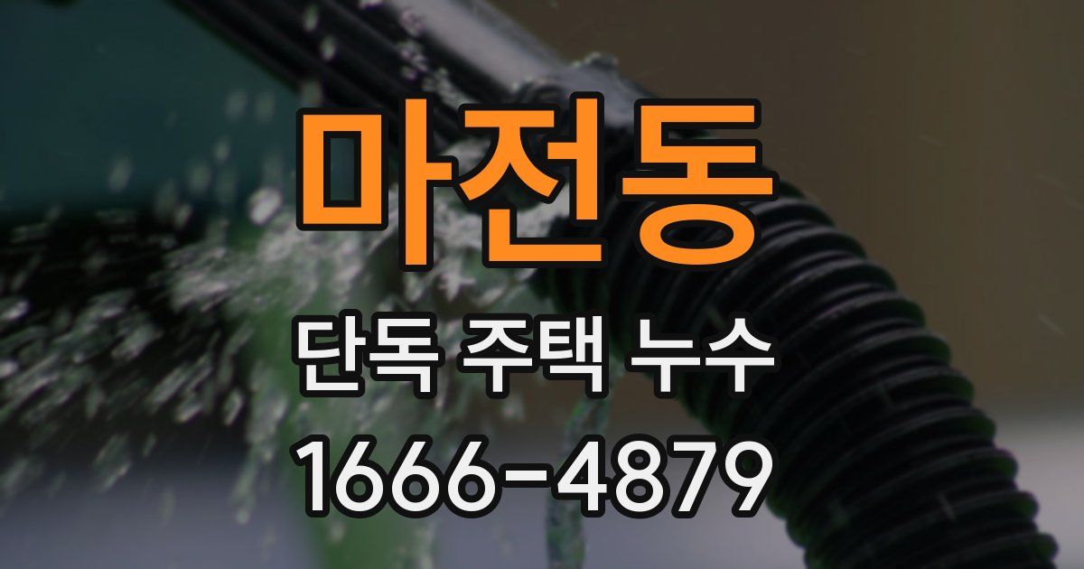 마전동 단독 주택 누수