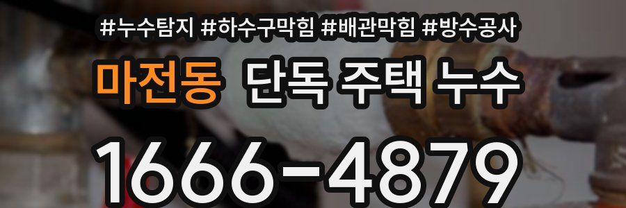 마전동 단독 주택 누수