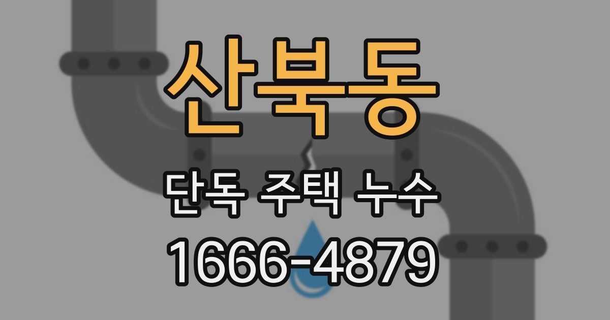 산북동 단독 주택 누수