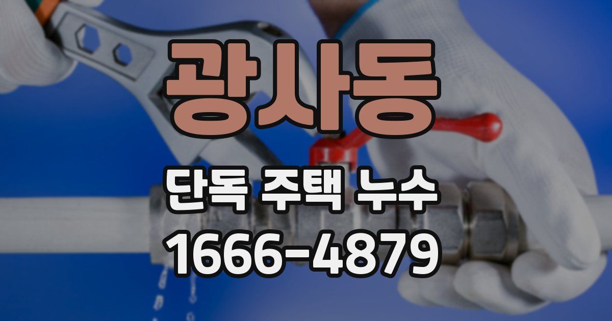 광사동 단독 주택 누수