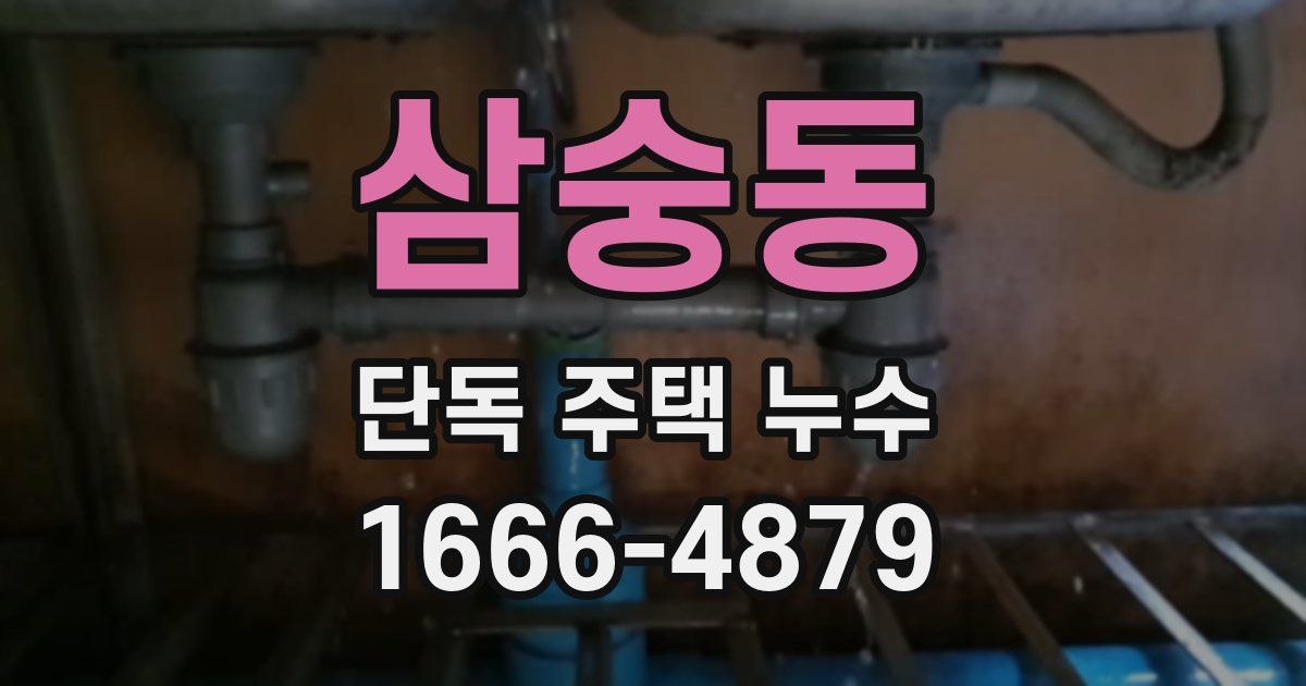 삼숭동 단독 주택 누수