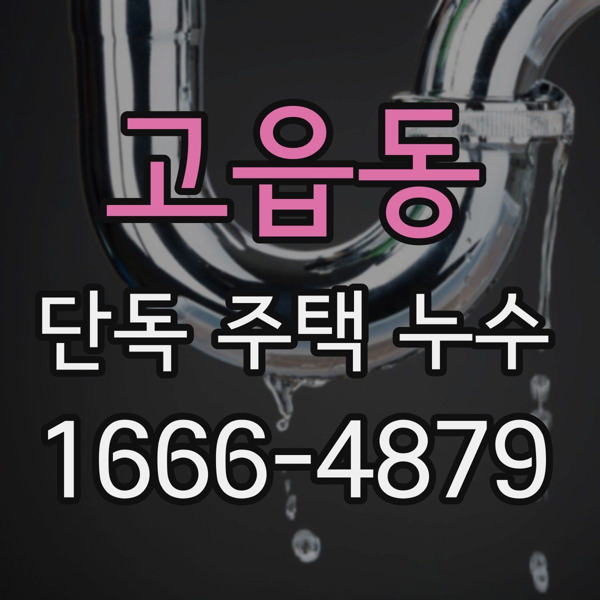 고읍동 단독 주택 누수