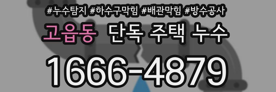 고읍동 단독 주택 누수