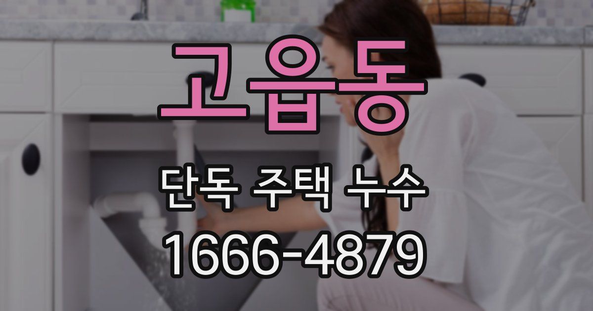 고읍동 단독 주택 누수