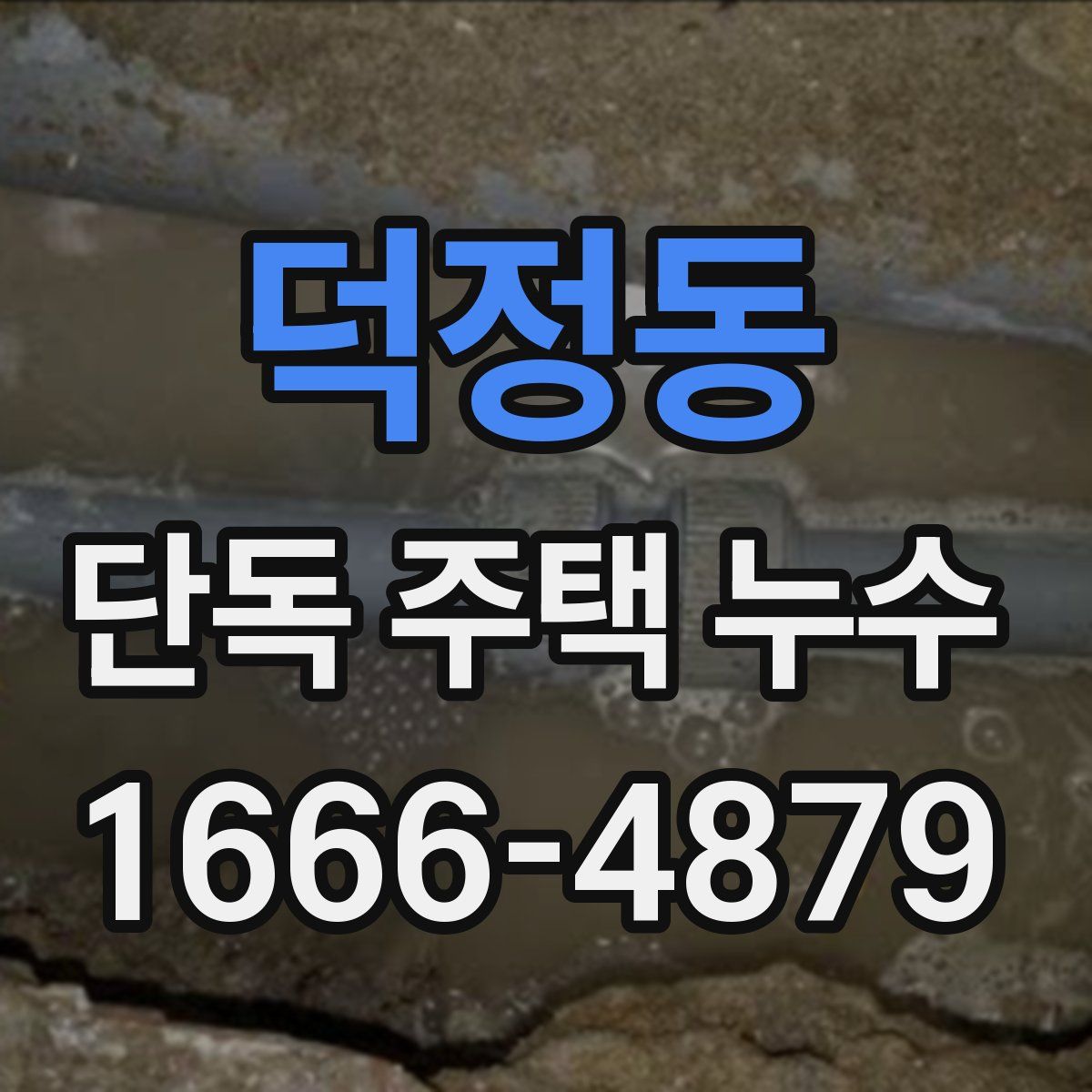 덕정동 단독 주택 누수