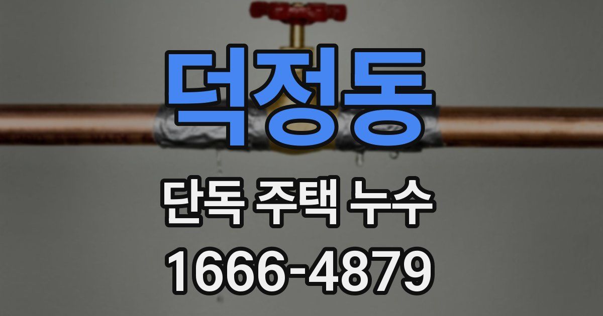 덕정동 단독 주택 누수