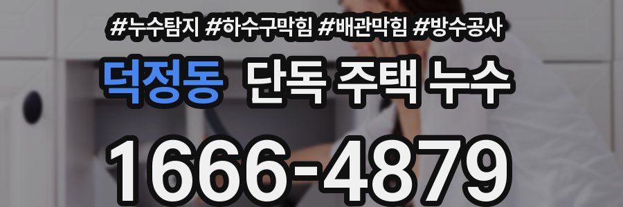 덕정동 단독 주택 누수