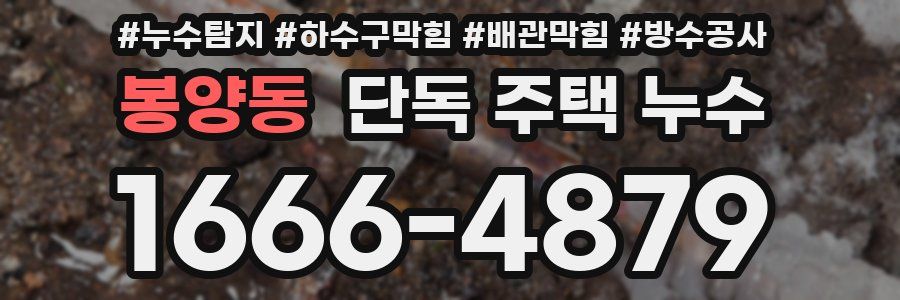 봉양동 단독 주택 누수