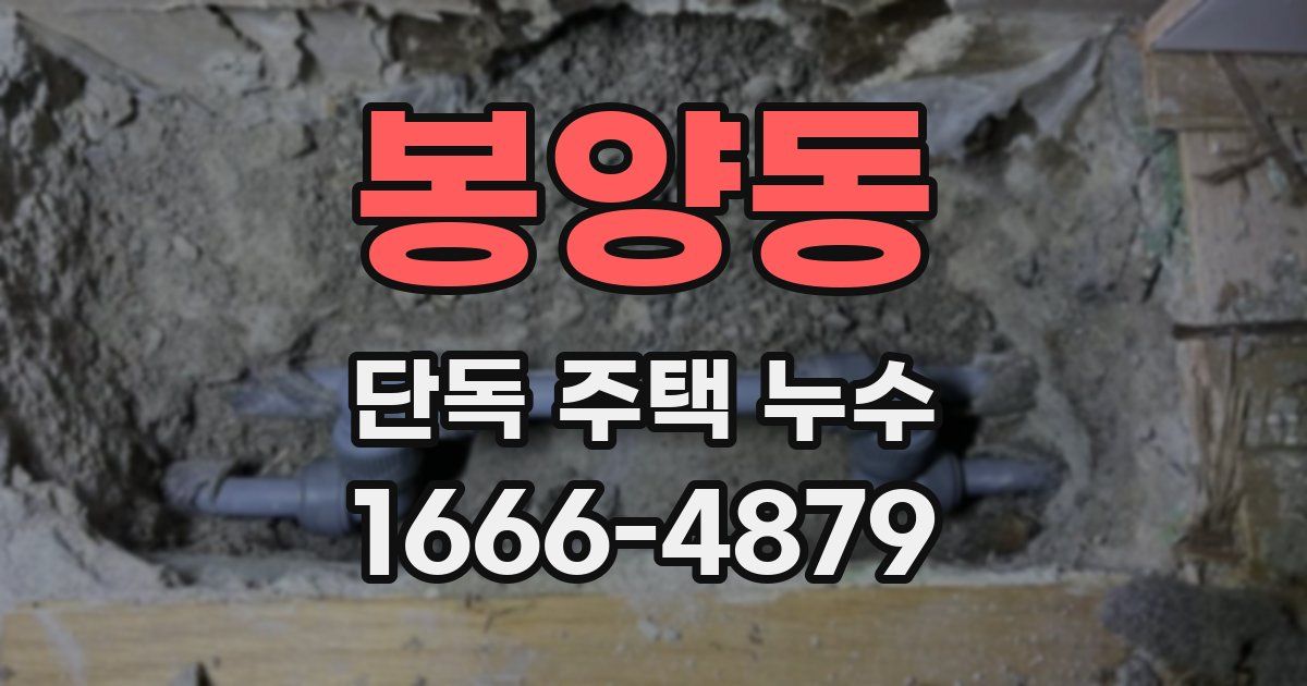 봉양동 단독 주택 누수