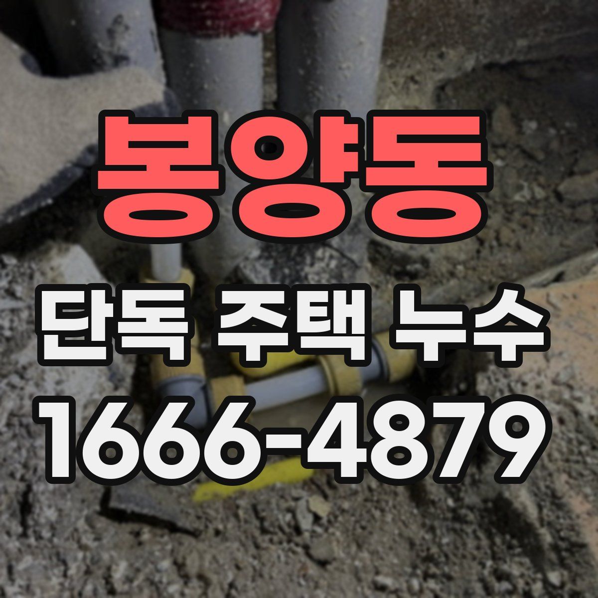 봉양동 단독 주택 누수