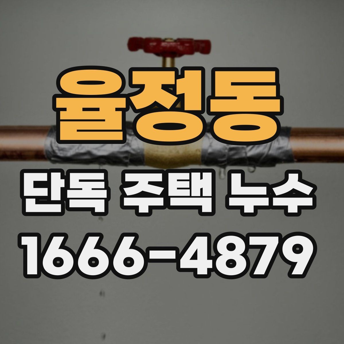 율정동 단독 주택 누수 침투 경로를 찾는 방법