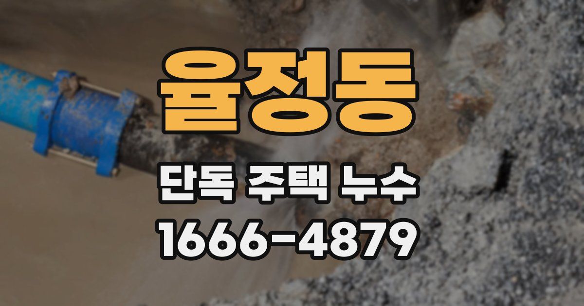 율정동 단독 주택 누수