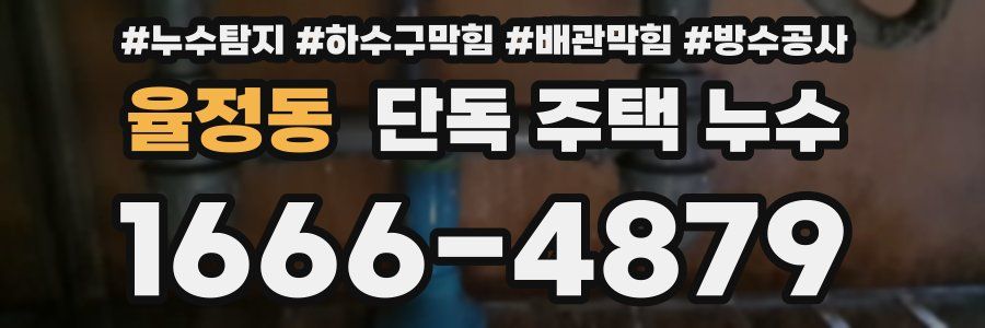 율정동 단독 주택 누수
