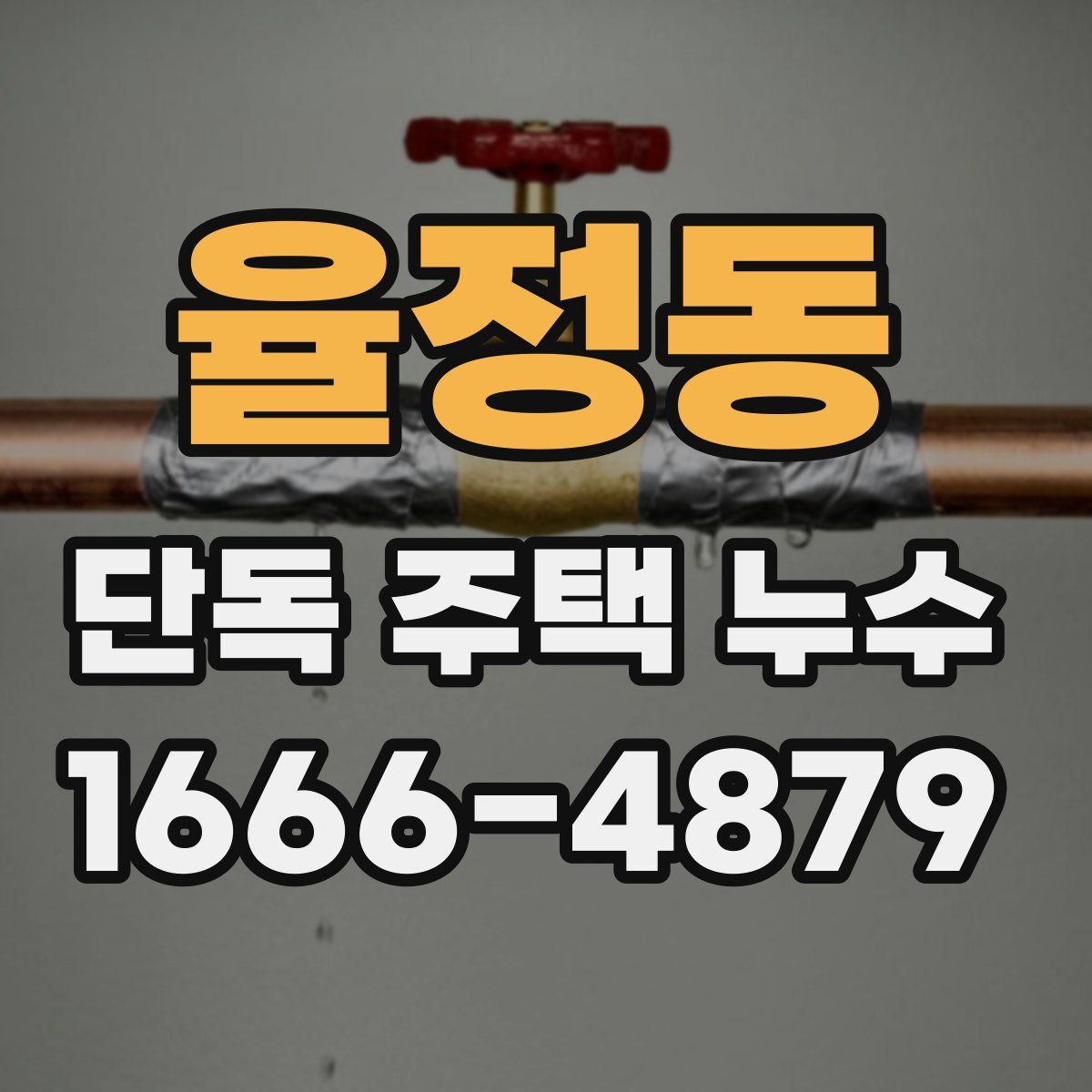 율정동 단독 주택 누수