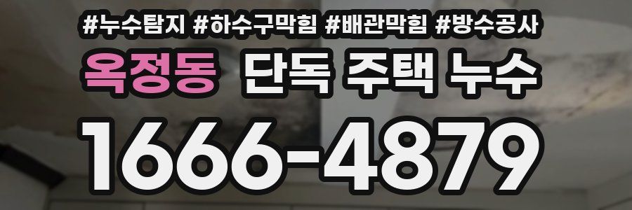 옥정동 단독 주택 누수