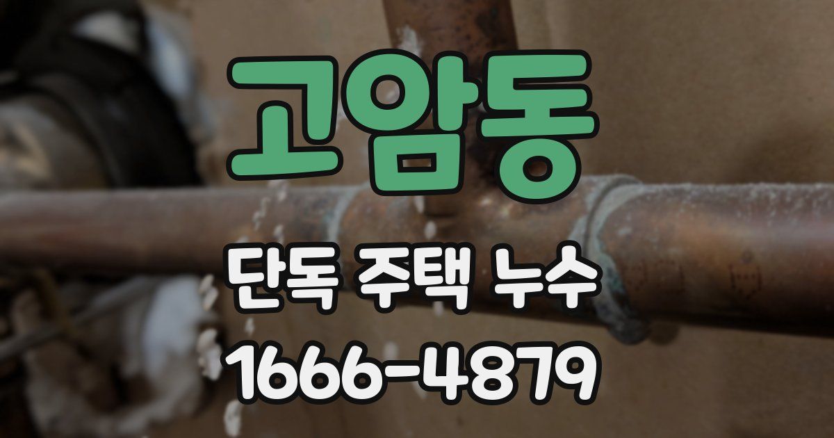 고암동 단독 주택 누수