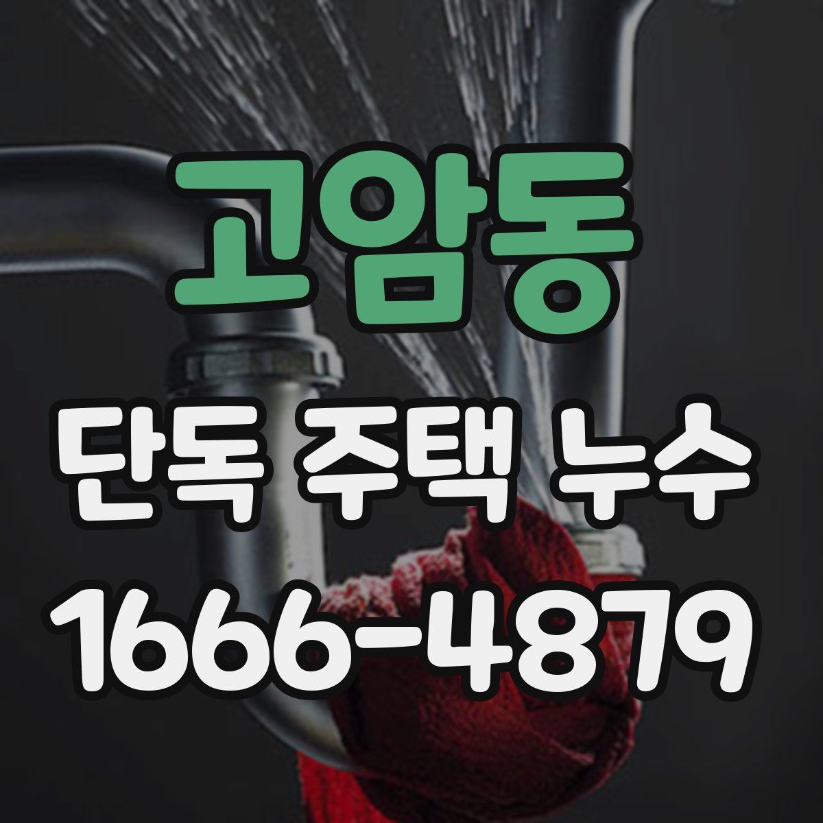고암동 단독 주택 누수