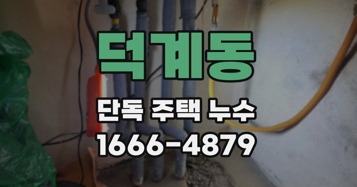 덕계동 단독 주택 누수