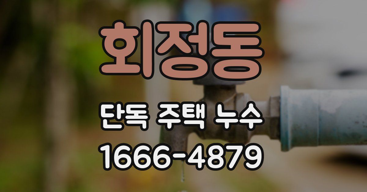 회정동 단독 주택 누수