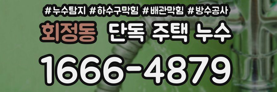 회정동 단독 주택 누수