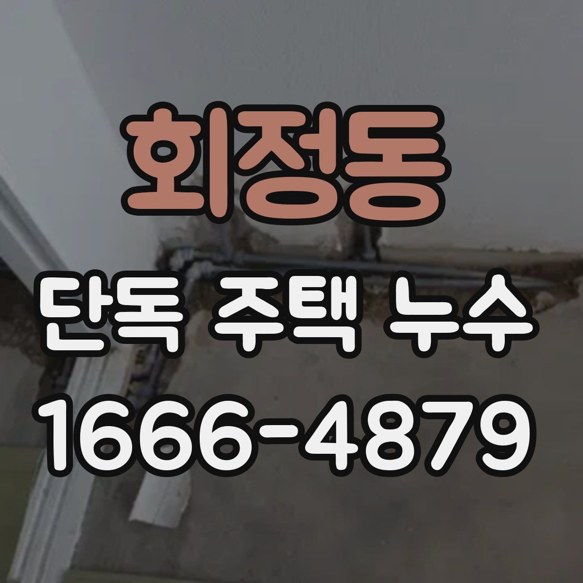 회정동 단독 주택 누수