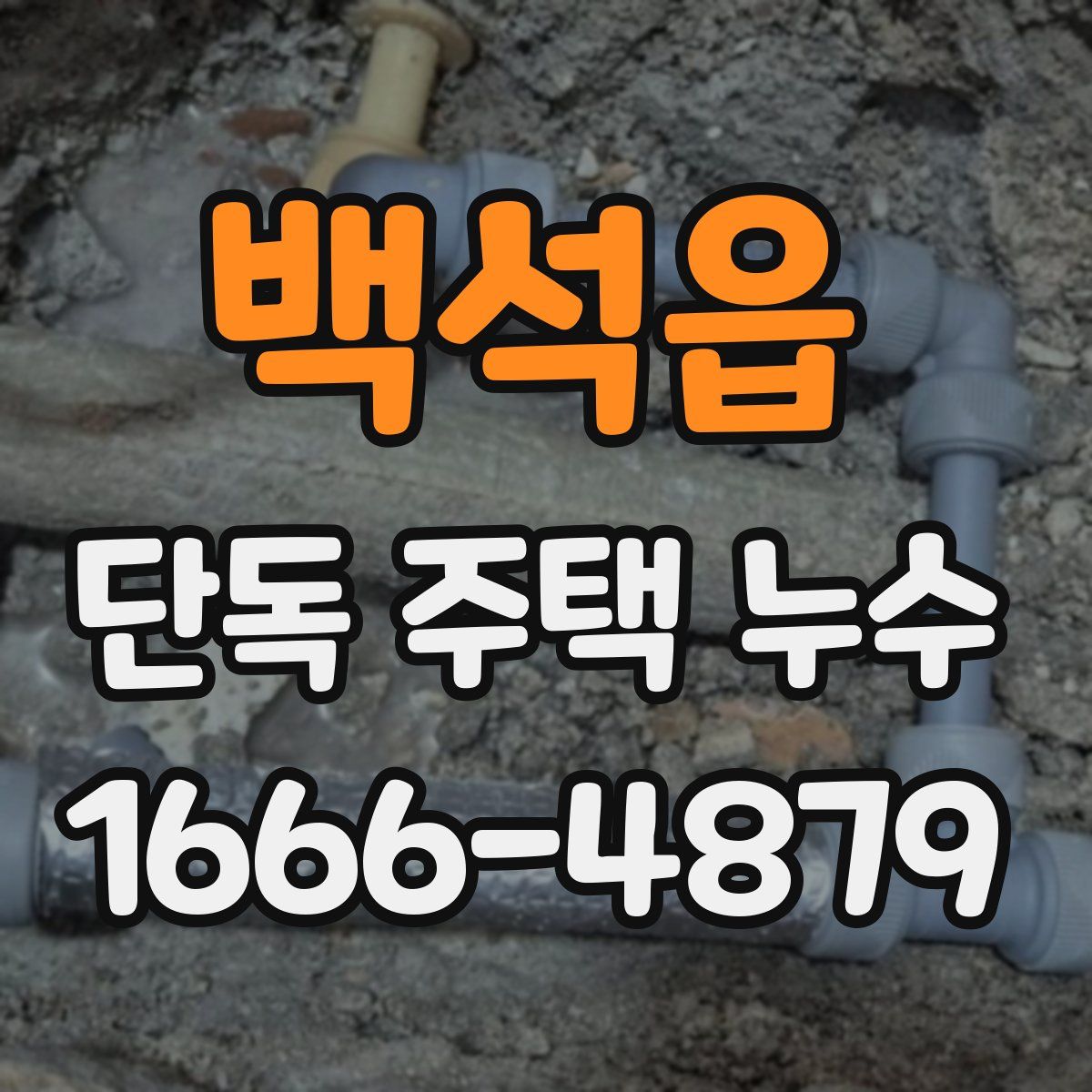 백석읍 단독 주택 누수