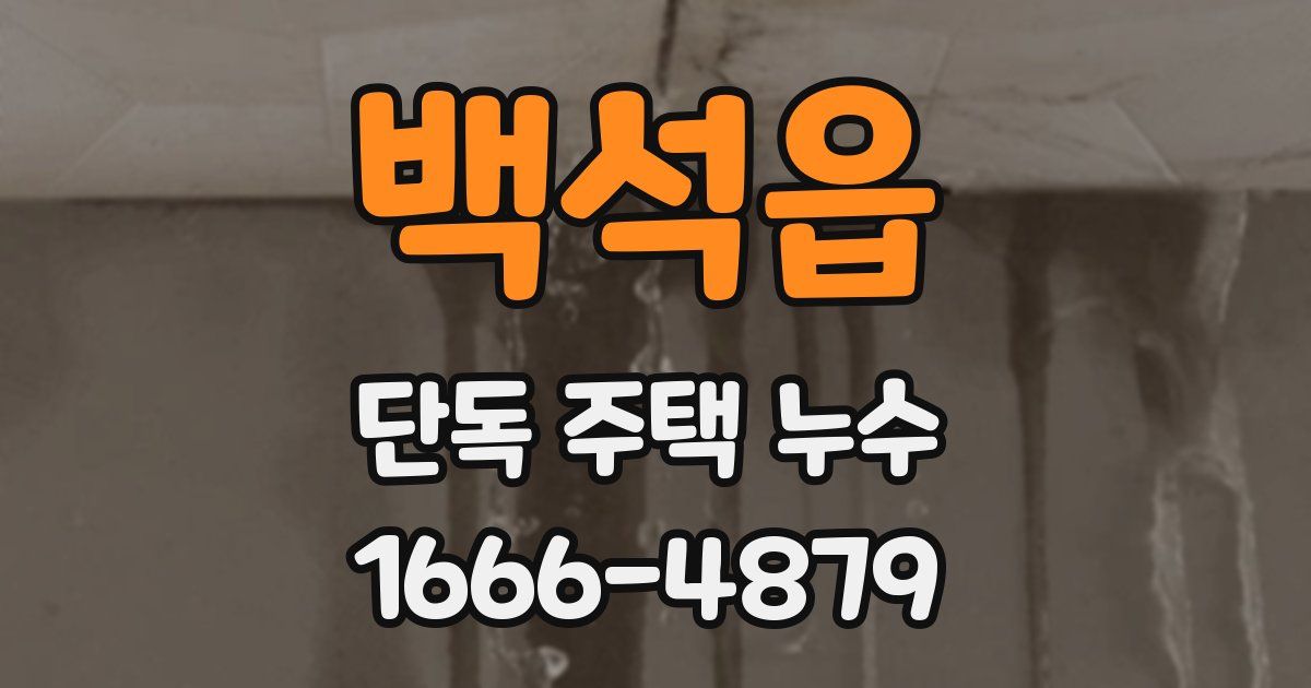 백석읍 단독 주택 누수