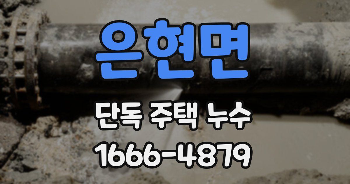 은현면 단독 주택 누수