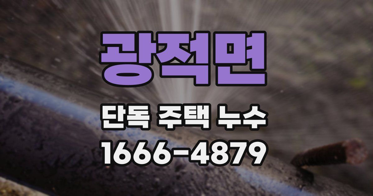 광적면 단독 주택 누수