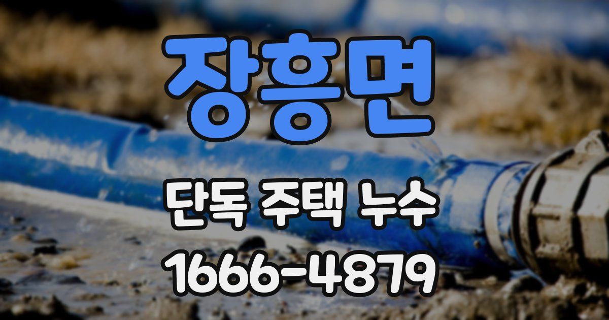 장흥면 단독 주택 누수
