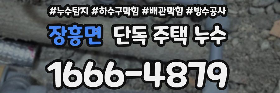 장흥면 단독 주택 누수