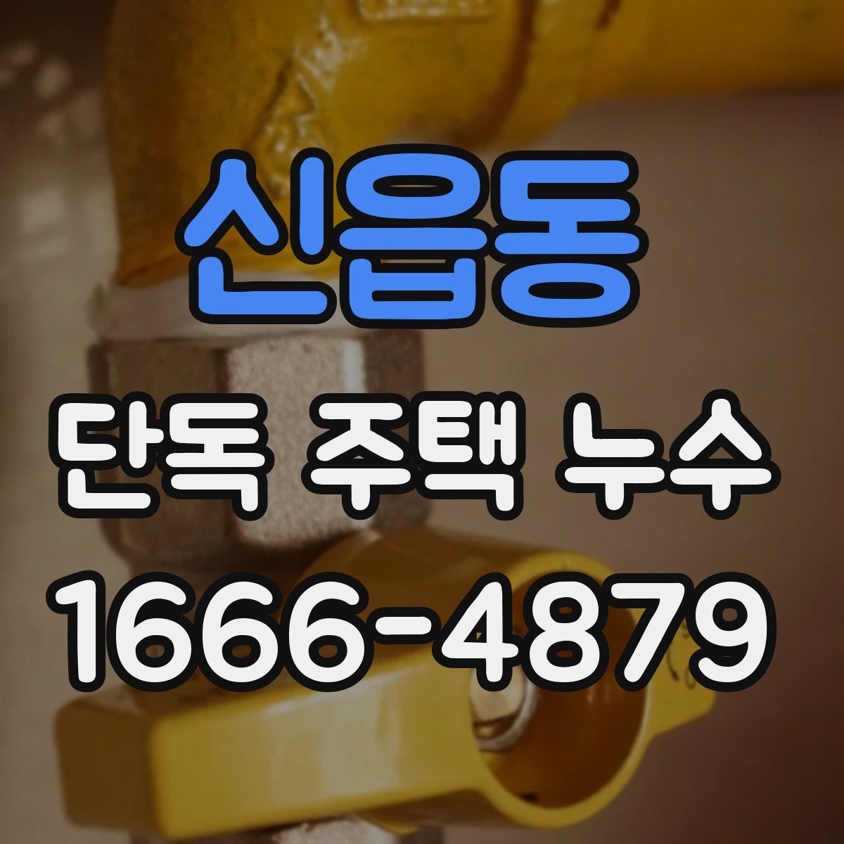 신읍동 단독 주택 누수