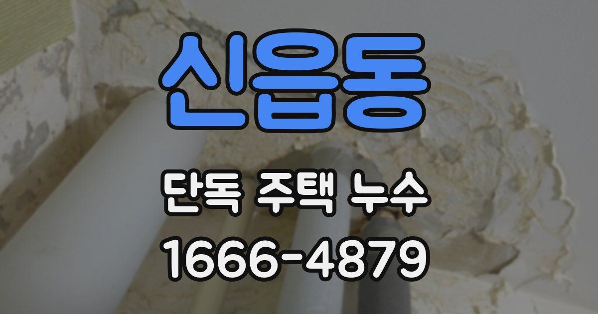 신읍동 단독 주택 누수